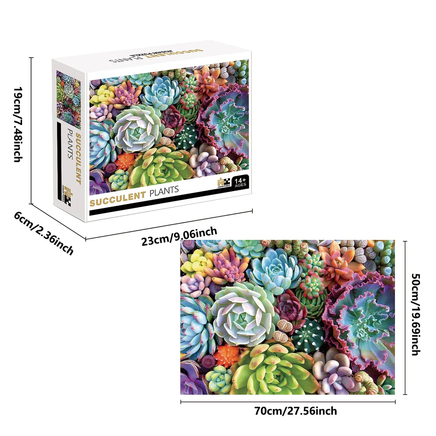 1000 Pieces Succulent Plants